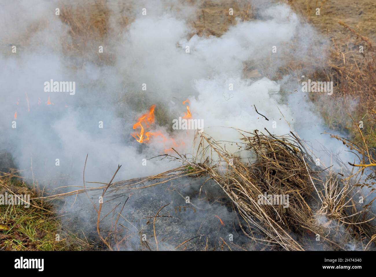 Un fuoco di primavera l'erba secca sta bruciando molto fumo Foto Stock