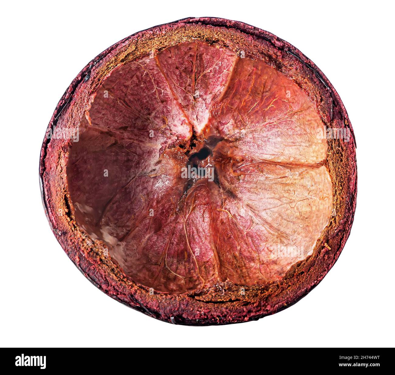 Vista dall'alto della conchiglia di mangosteen viola scuro isolata su sfondo bianco Foto Stock