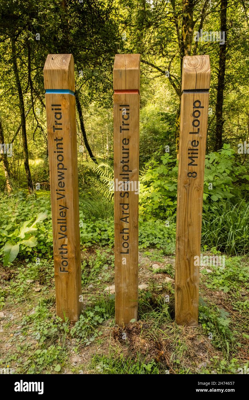 Pali colorati di legno che mettono in evidenza diversi sentieri in un bosco nel Loch Lomond e nel Parco Nazionale Trossachs, Scozia Foto Stock