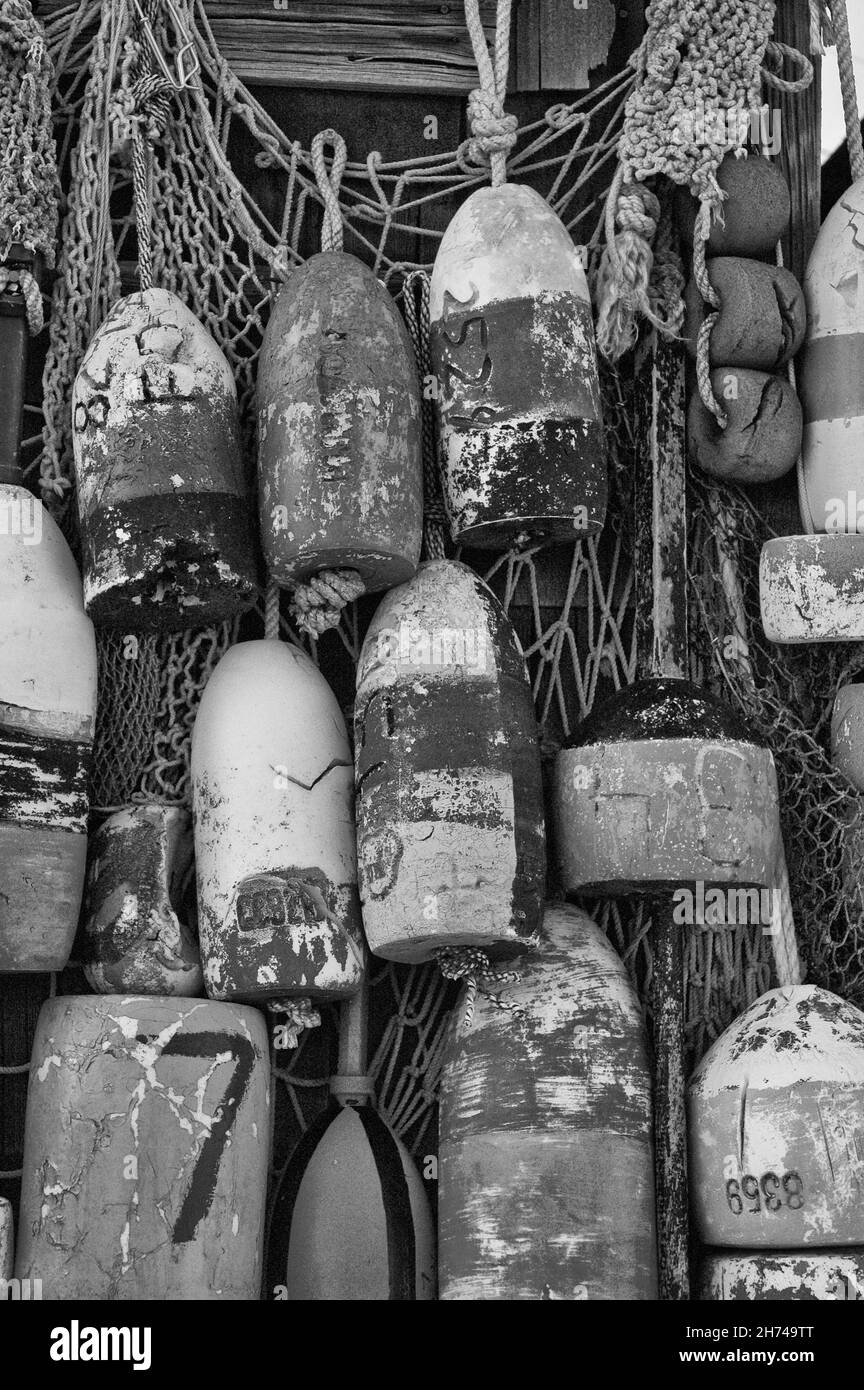 I dettagli sono espressivi in bianco e nero Foto Stock