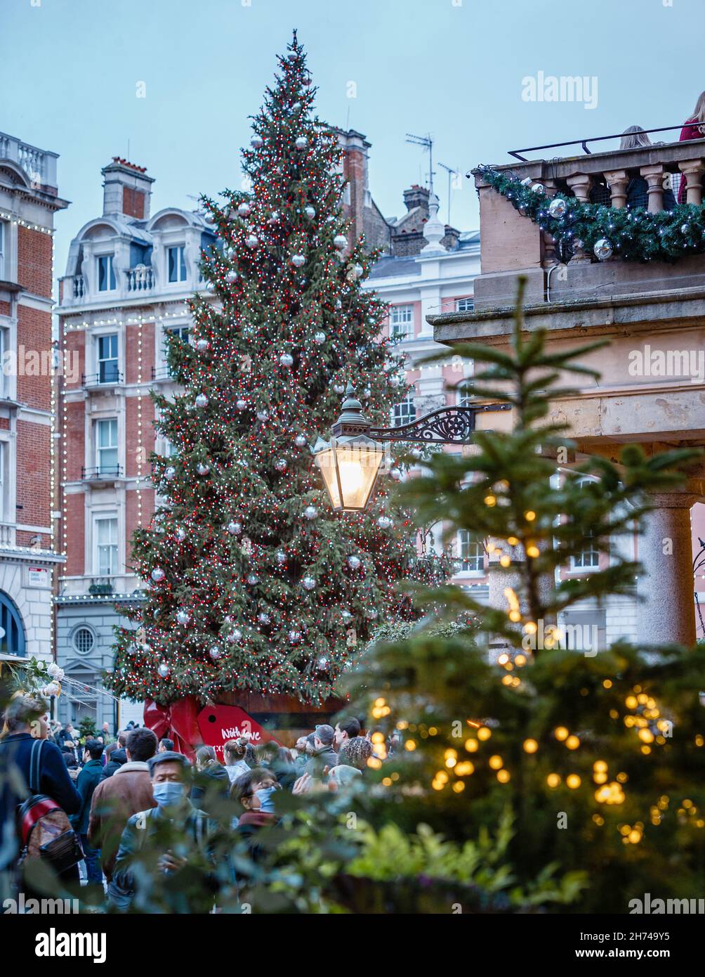La vista del famoso albero di Natale di Covent Garden dalla chiesa di St. Paul a Londra. Foto Stock