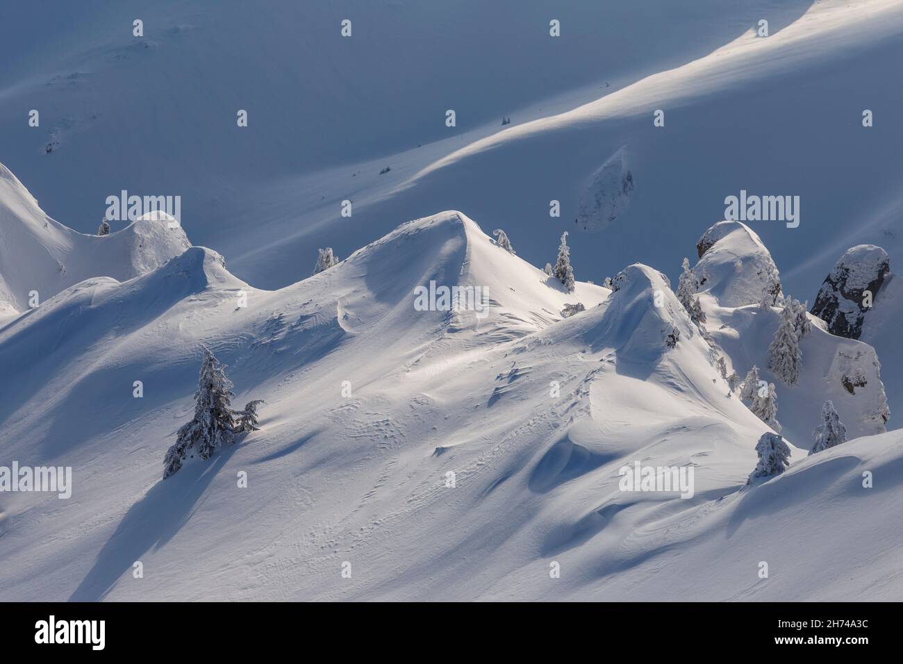 Vista della zona di montagna coperta di neve in bella luce con ombra e sole, Carpazi. Foto Stock