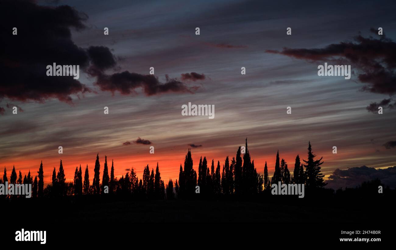 Una silhouette treeline contro un colorato cielo al tramonto Foto Stock