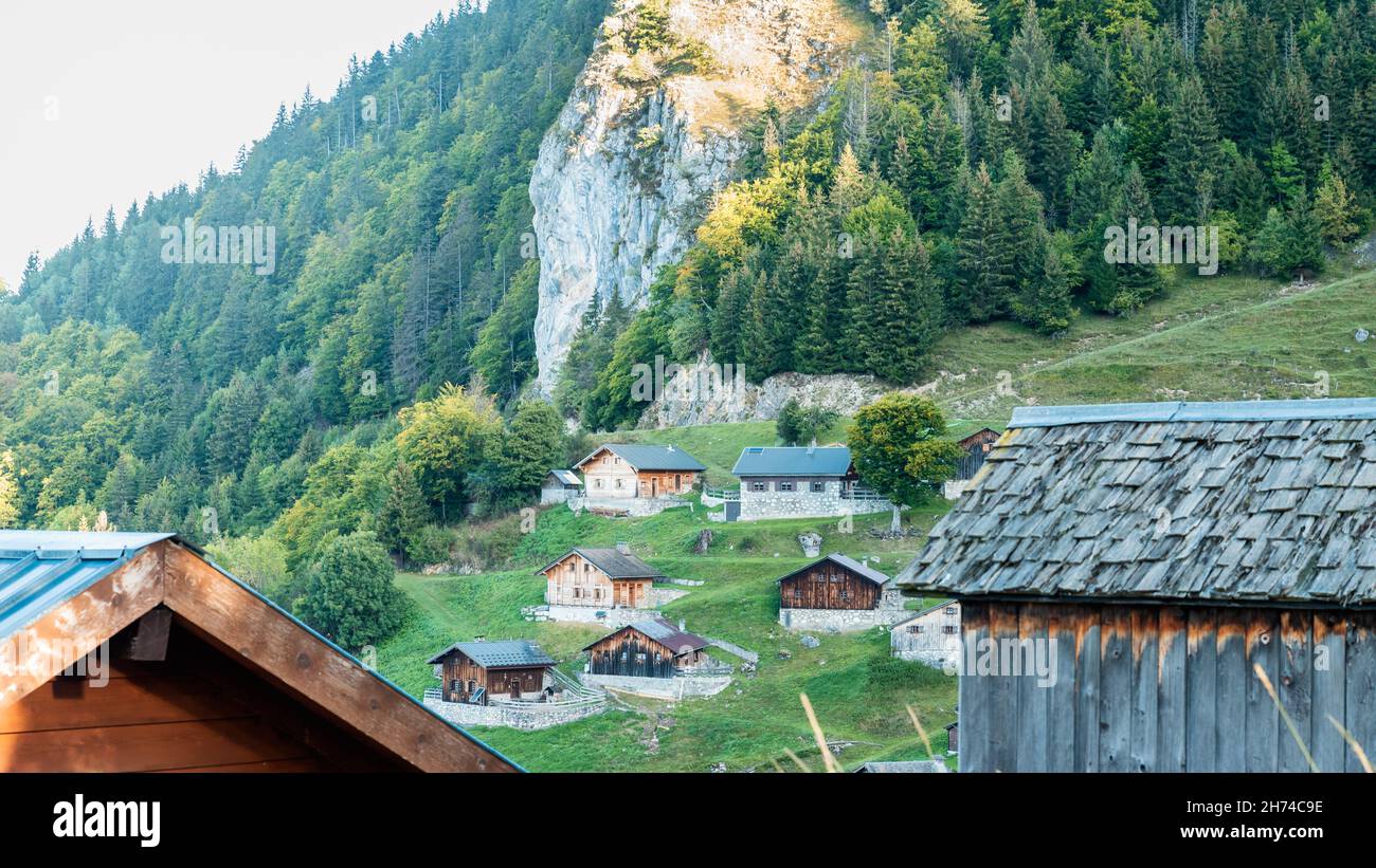 Tetti di legno di case sparse su ripidi pendii alpini circondati da verdi pini Foto Stock