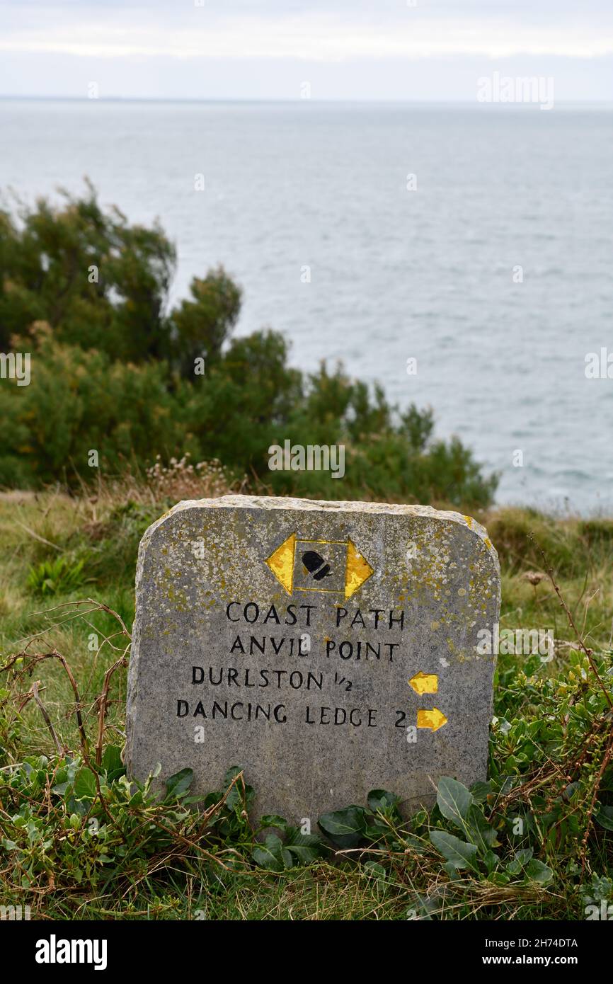 Coast Path Anvil Point Durlston Country Park Nr Swanage Dorset Inghilterra regno unito Foto Stock
