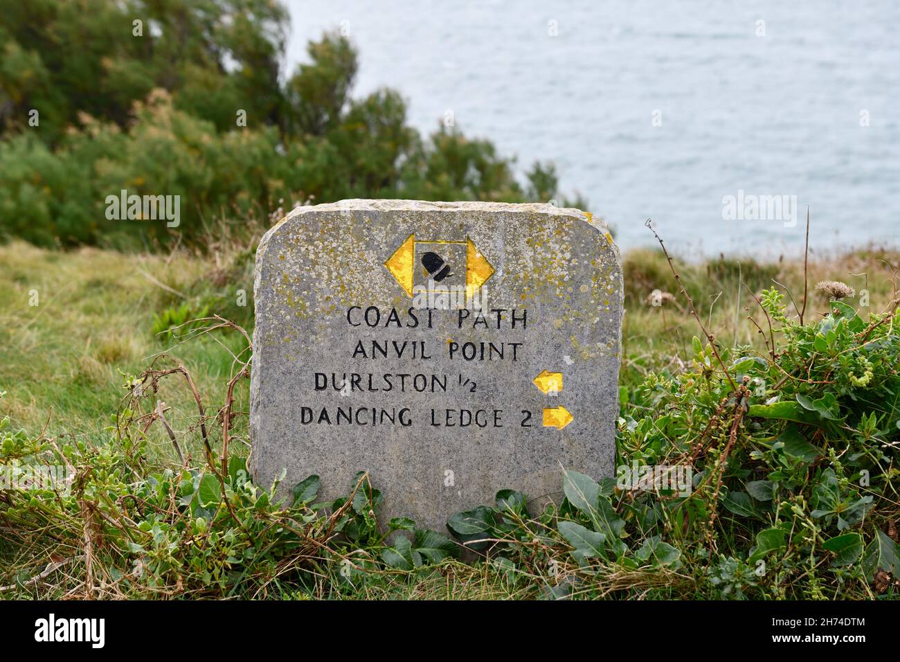 Coast Path Anvil Point Durlston Country Park Nr Swanage Dorset Inghilterra regno unito Foto Stock