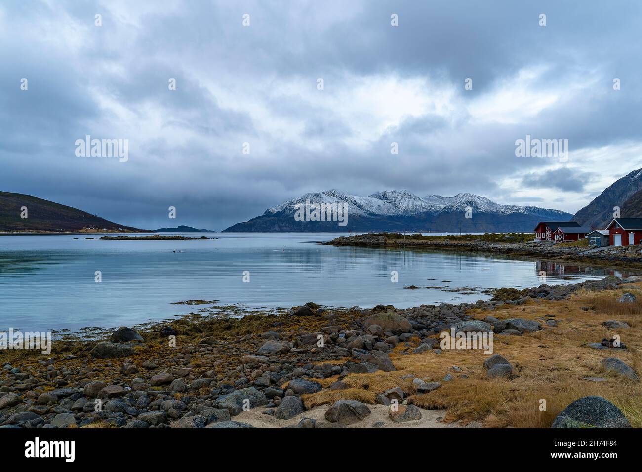 Bucht von Grøtfjord mit der Insel Vengsøya im Hintergrund. Herbst in Troms, Norwegen, gelbe Wiesen, verschneite Berge und bunte Häuser. Facciata posteriore Foto Stock