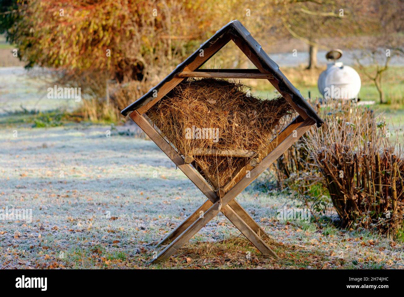 Griglia di alimentazione in legno riparata riempita di paglia su un pascolo coperto di hoarfrost in una fredda mattinata invernale. Le cremagliere del fieno aiutano gli animali a trovare foraggio. Foto Stock