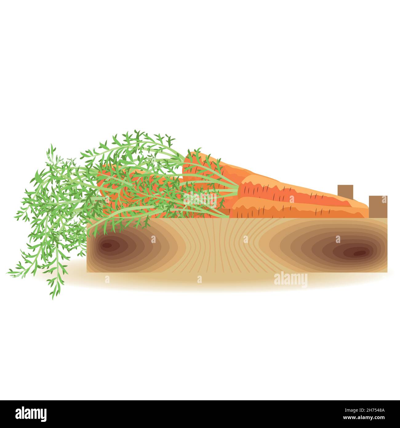 carote sane dal giardino in una scatola. Alimentazione cruda Illustrazione Vettoriale