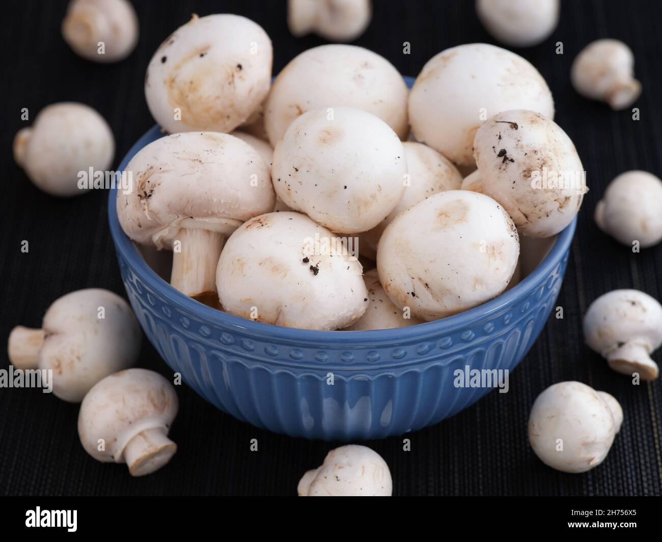 Funghi di champignon appena raccolti in una ciotola. Primo piano. Foto Stock
