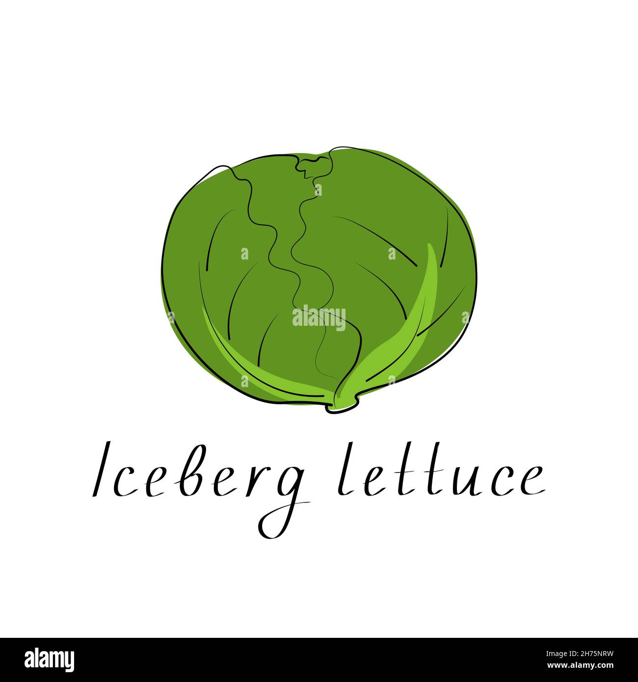 Iceberg lattuga icona colorata. Oggetto isolato. Cibo vegetale biologico. Illustrazione vettoriale Illustrazione Vettoriale