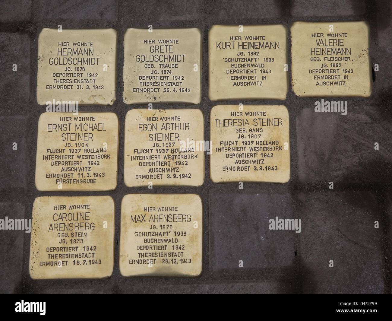 Stolpersteine appena steso dall'artista Gunter Demnig il 11/11/2021 a Magdeburg Foto Stock