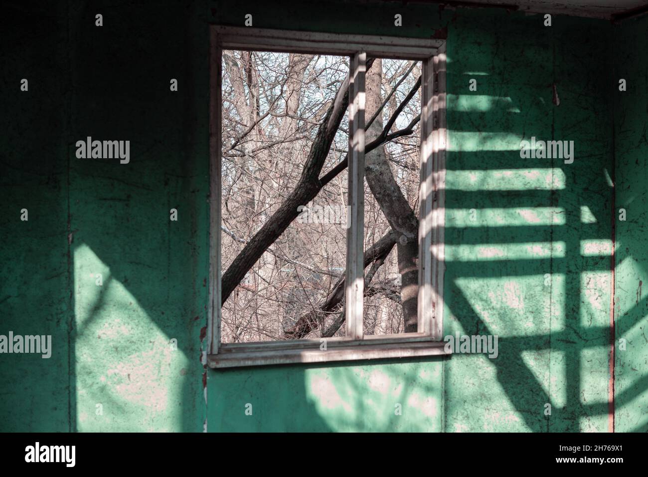 Interno di una casa desolata . Muro verde di fienile abbandonato . Ombra e luce alla parete Foto Stock