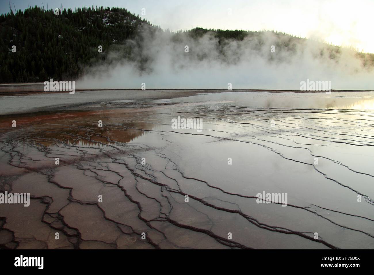 Grand Prismatic Spring è una delle meraviglie più visitate del parco nazionale di Yellowstone, Wyoming Foto Stock