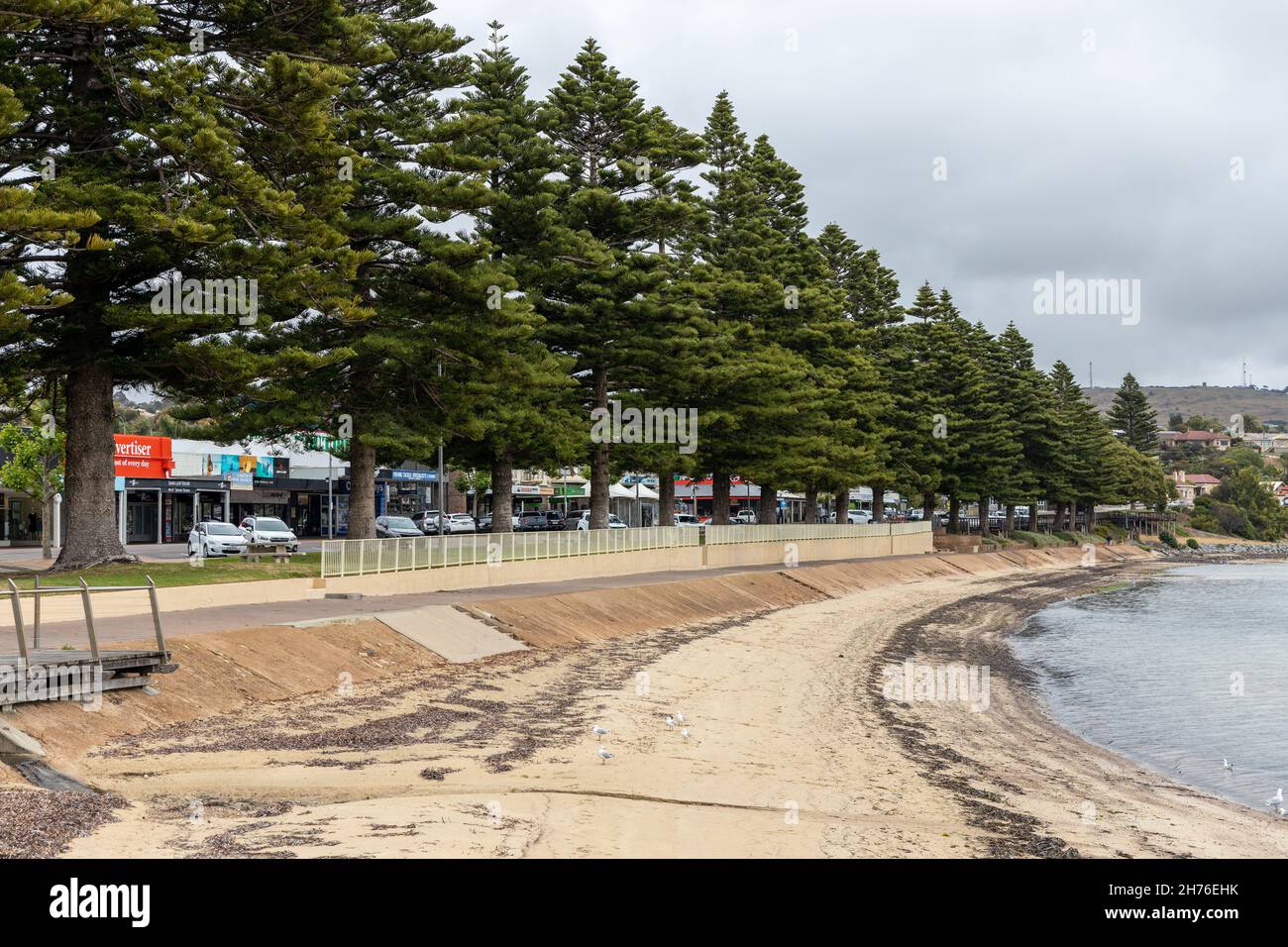 I pini lungo il litorale a Port Lincoln South Australia il 19 novembre 2021 Foto Stock