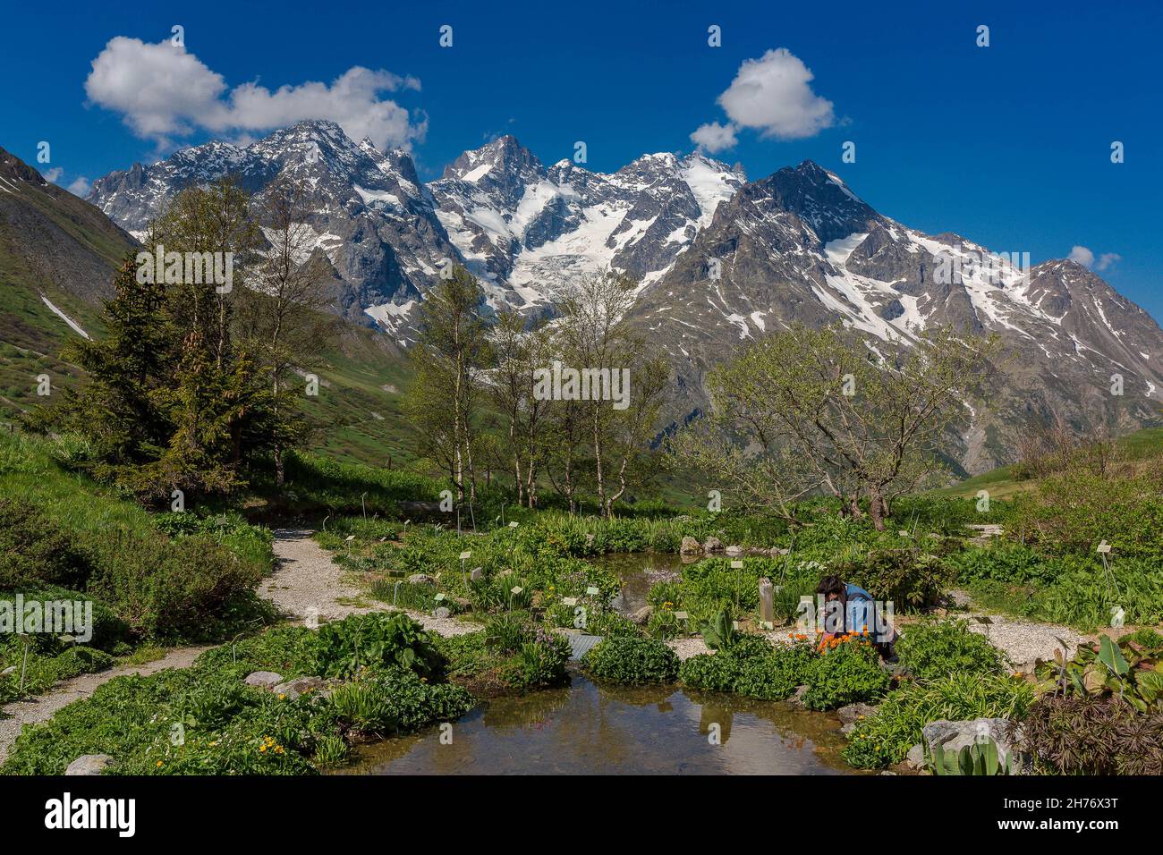 HAUTES-ALPES (05), VILLAR D'ARENE, LAUTARET, ALPINE RESORT JOSEPH FOURIER, GIARDINO BOTANICO ALPINO LAUTARET E IL MASSICCIO MEIJE Foto Stock