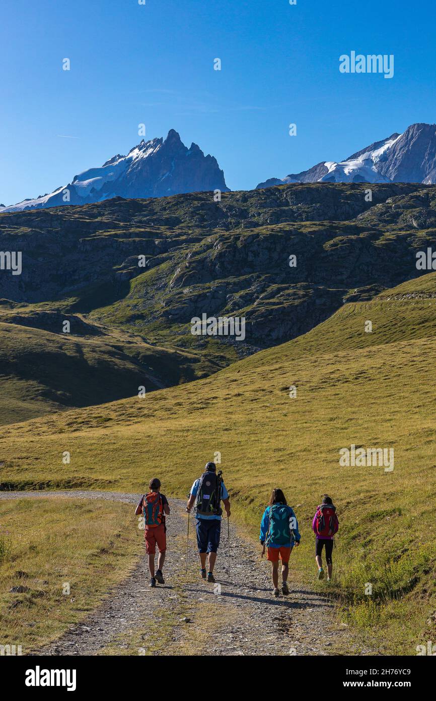 HAUTES-ALPES (05), LA GRAVE, SERRE CHEVALIER, PARCO NAZIONALE DEGLI ECRINS, ALTOPIANO EMPARIS, ESCURSIONI CON ALEXANDRE PUECH, GUIDA DI MONTAGNA CON ORIZZONTI MOUNTAI Foto Stock