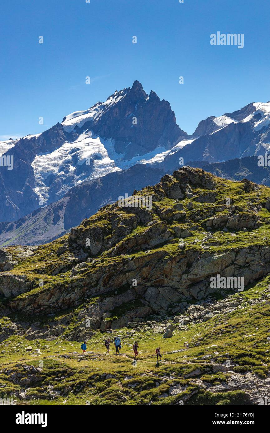 HAUTES-ALPES (05), LA GRAVE, SERRE CHEVALIER, PARCO NAZIONALE DEGLI ECRINS, ALTOPIANO EMPARIS, ESCURSIONI CON ALEXANDRE PUECH, GUIDA DI MONTAGNA CON ORIZZONTI MOUNTAI Foto Stock