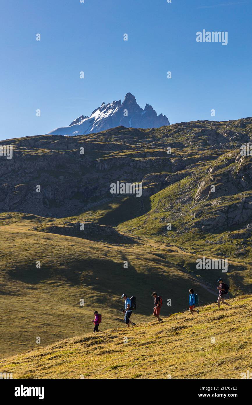HAUTES-ALPES (05), LA GRAVE, SERRE CHEVALIER, PARCO NAZIONALE DEGLI ECRINS, ALTOPIANO EMPARIS, ESCURSIONI CON ALEXANDRE PUECH, GUIDA DI MONTAGNA CON ORIZZONTI MOUNTAI Foto Stock