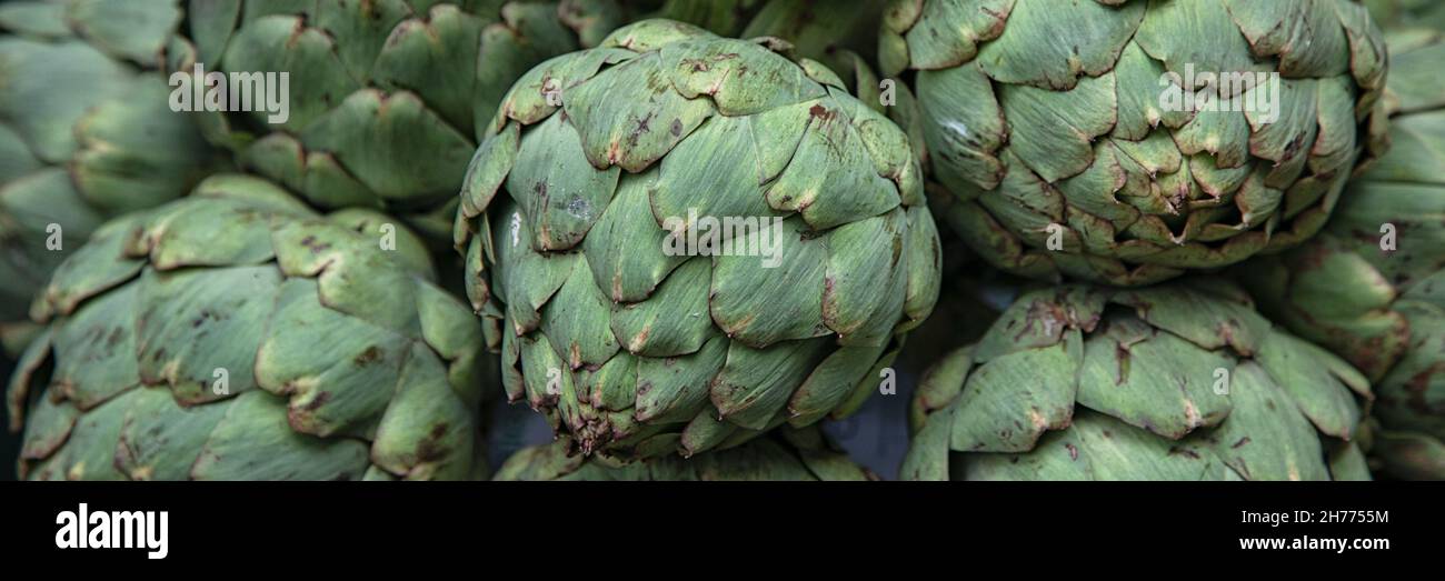 Panorama di carciofi freschi Globe Foto Stock