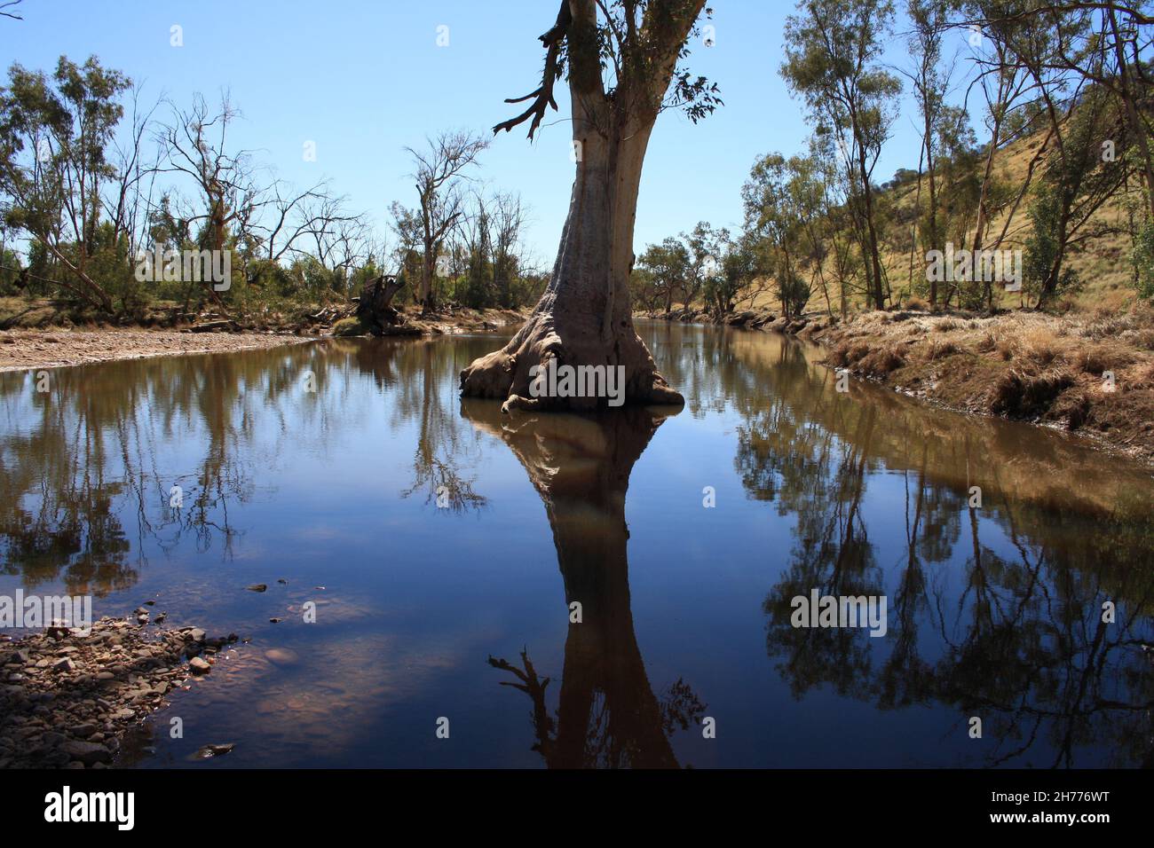 Le gengive rosse del fiume Hugh Foto Stock