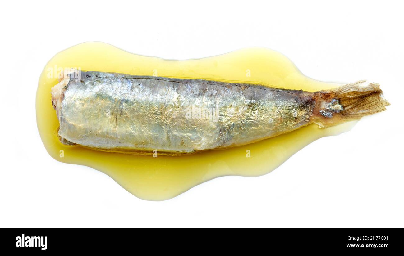 sardina in scatola in olio isolato su sfondo bianco, vista dall'alto Foto  stock - Alamy