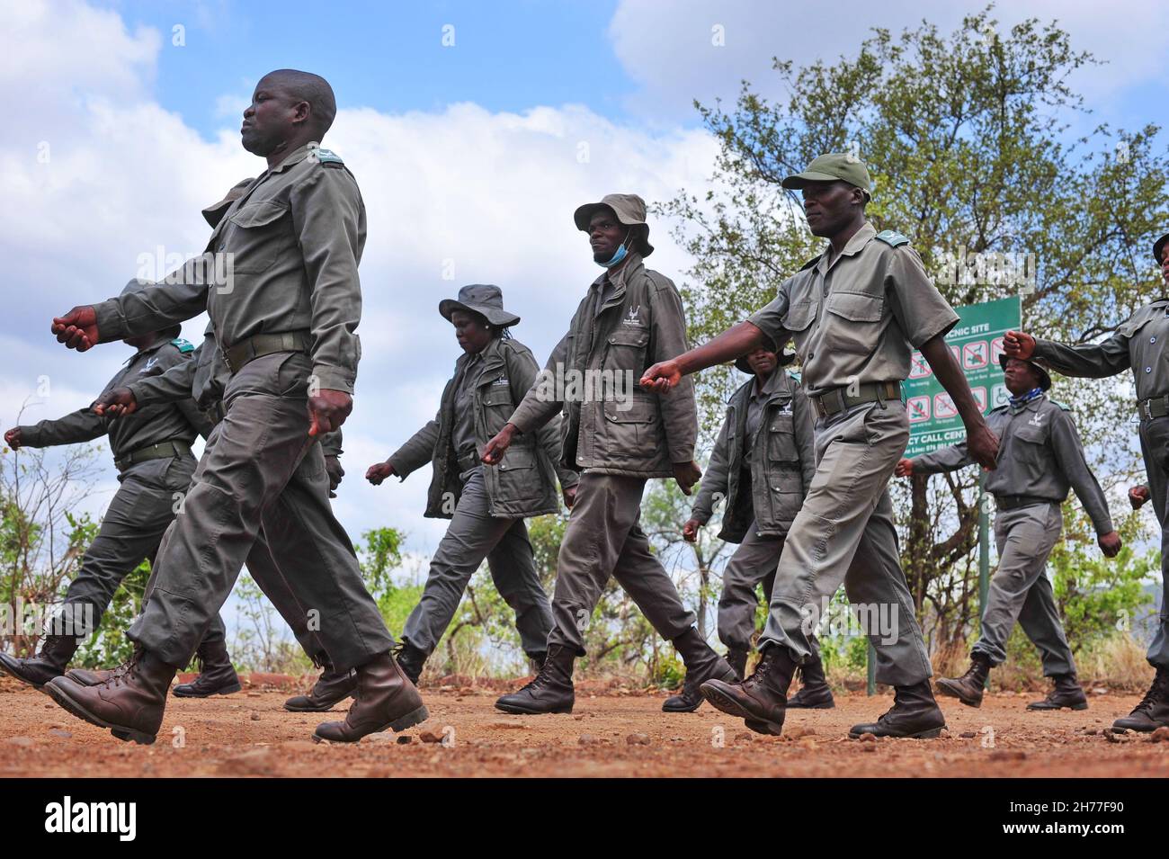 I rangers di gioco nel Parco Nazionale di Kruger stanno lavorando per proteggere gli animali e l'ambiente contro i gruppi criminali di fauna selvatica in Sudafrica Foto Stock