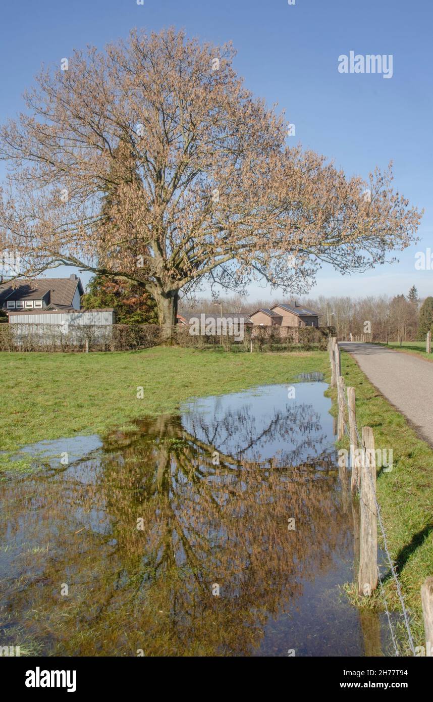 Aachen Eilendorf Landschaft Foto Stock