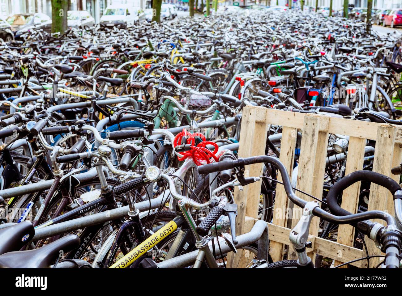 Biciclette parcheggiate al pubblico a Gand/Belgio. La città è famosa per essere adatta alle biciclette. Foto Stock