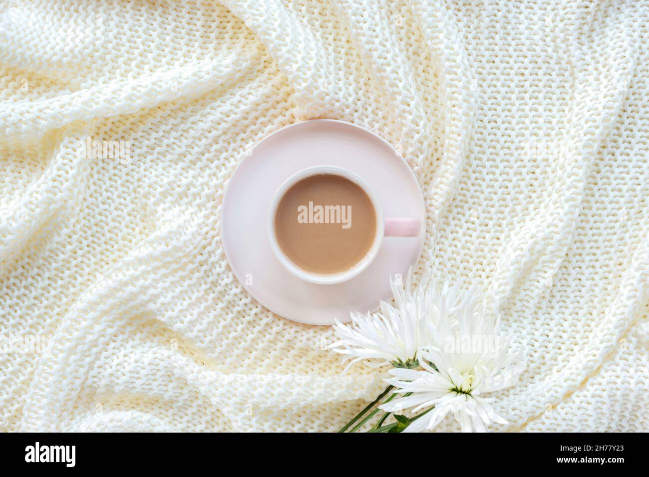 Tazza di caffè e fiori di crisantemo su una coperta di maglia bianca. Vista dall'alto, piatto. Foto Stock