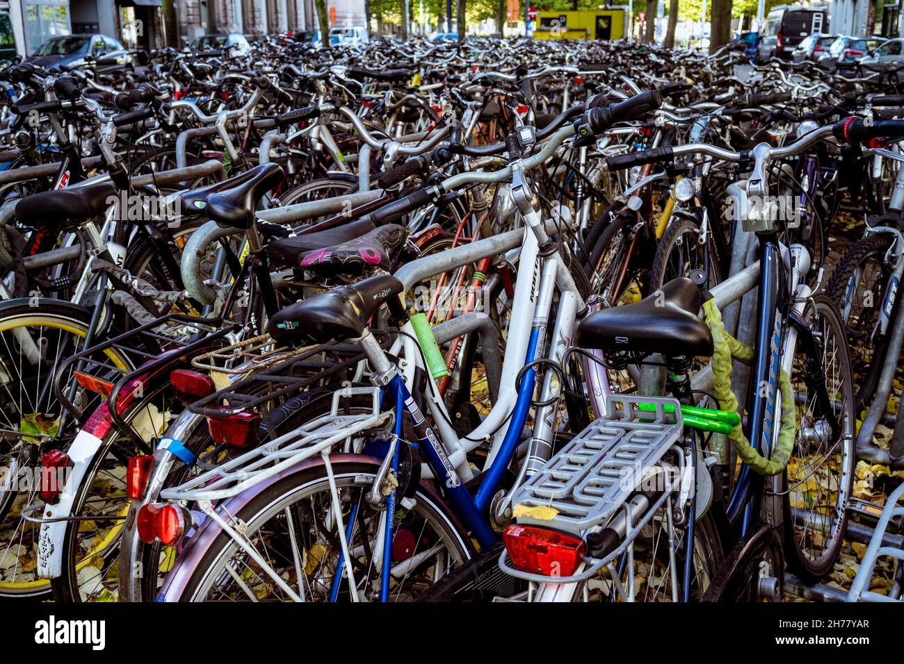 Biciclette parcheggiate al pubblico a Gand/Belgio. La città è famosa per essere adatta alle biciclette. Foto Stock