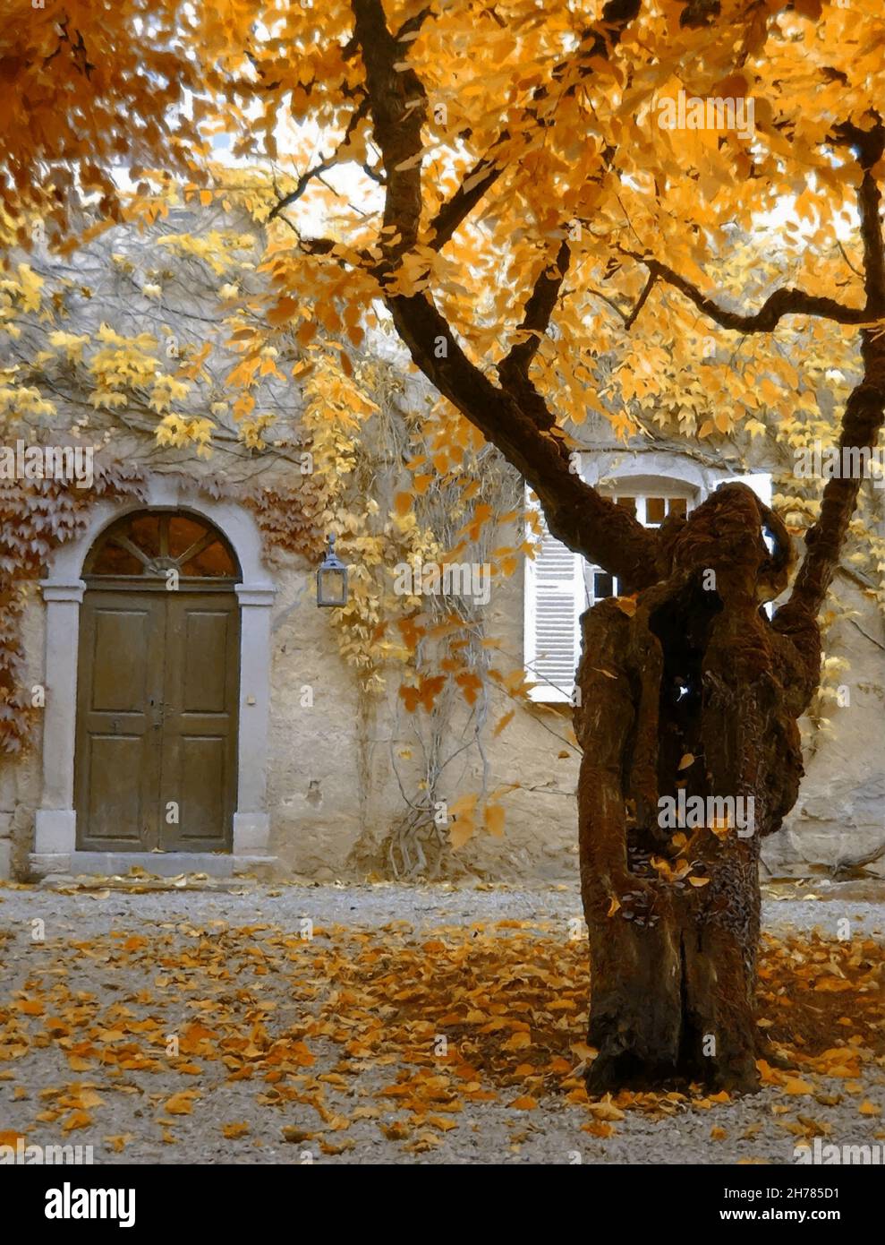 Albero di fronte alla vecchia casa di campagna. Foto elaborata con effetto acquerello digitale in romantica atmosfera autunnale. Foto Stock