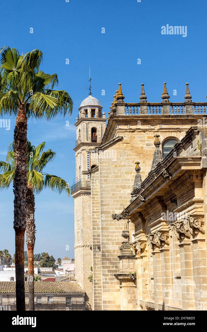 Vista laterale de la catedral de Jerez de la Frontera, Catedral Nuestro Señor San Salvador Foto Stock