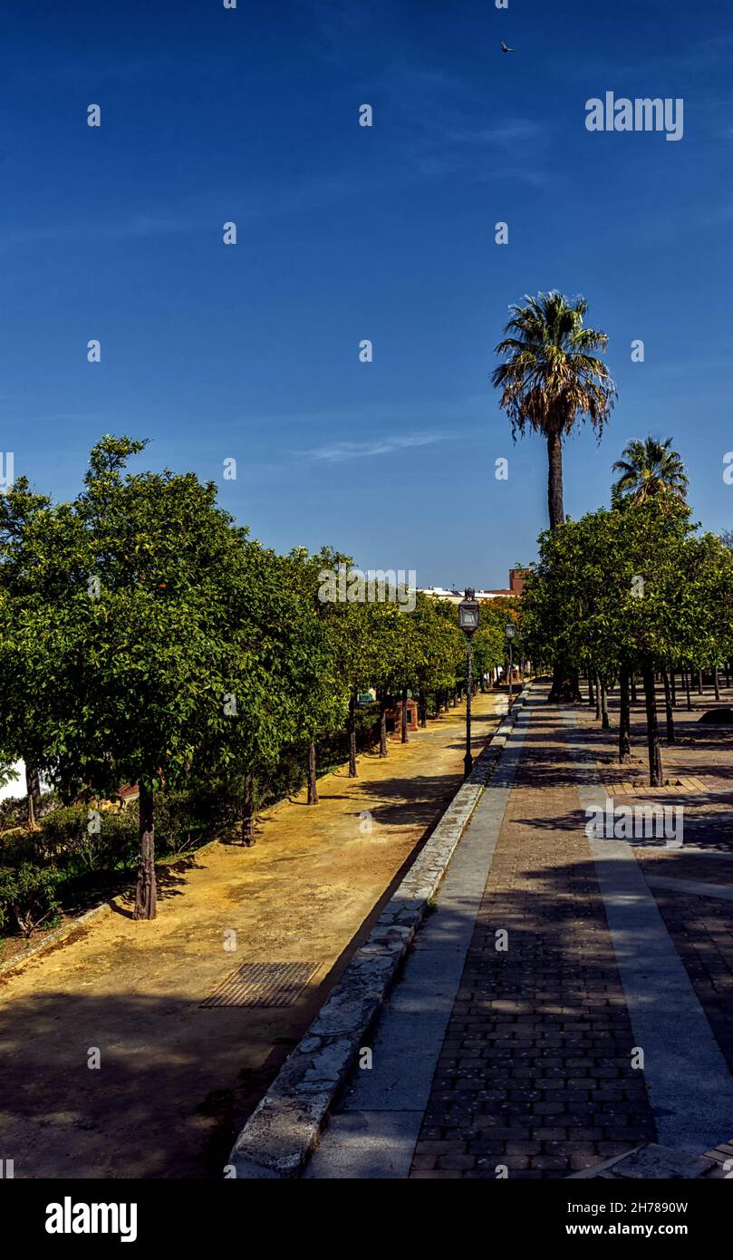 Parque Alameda Vieja en Jerez de la Frontera en la provincia de Cádiz, Bellleza y Detalles / Alameda Vieja Park en Jerez de la Frontera, Cádiz Foto Stock