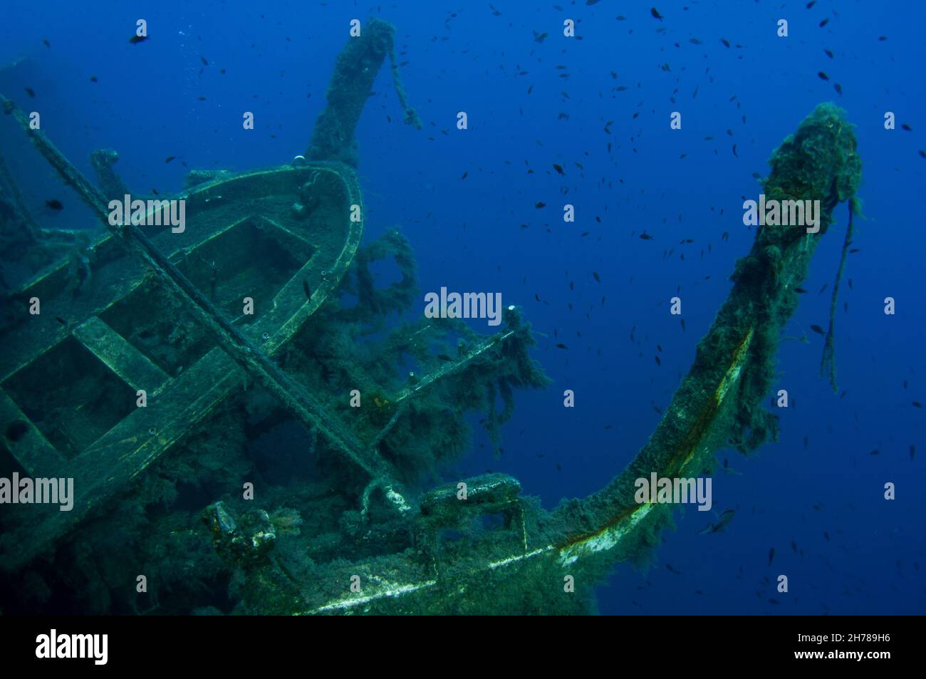 Sub alla MS Zenobia naufragio. MS Zenobia era una svedese costruita Challenger classe-TRAGHETTO RO-RO lanciato nel 1979 che si rovesciò ed affondò vicino a Larnac Foto Stock