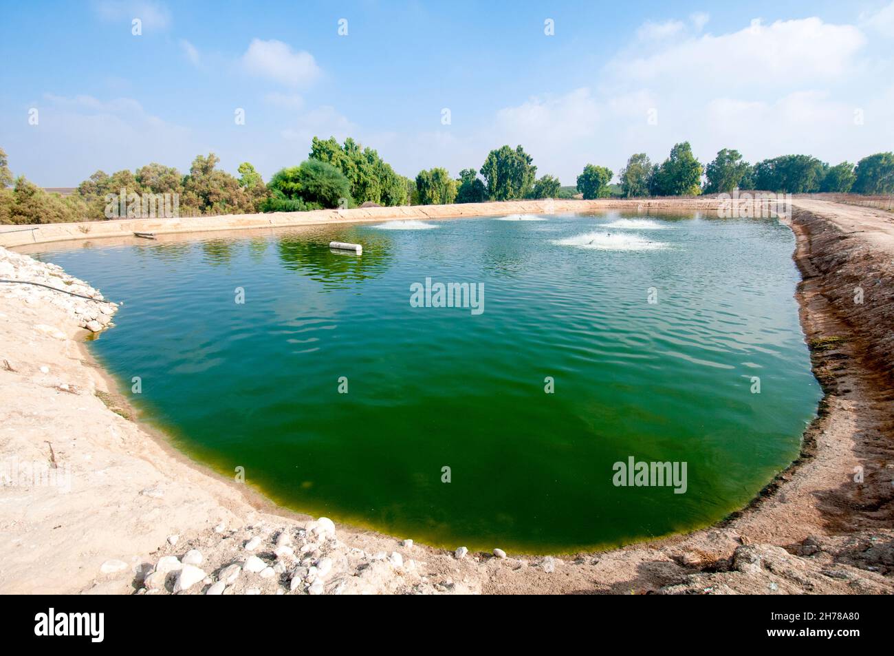 Rete fognaria impianto di trattamento. L'acqua trattata viene poi usato per irrigazione e uso agricolo. Fotografato vicino Hadera, Israele. fase finale la cle Foto Stock