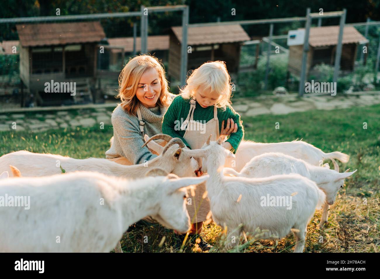 Mamma e figlia nutrono capre nella fattoria. Vita rurale, agricoltura. Foto Stock