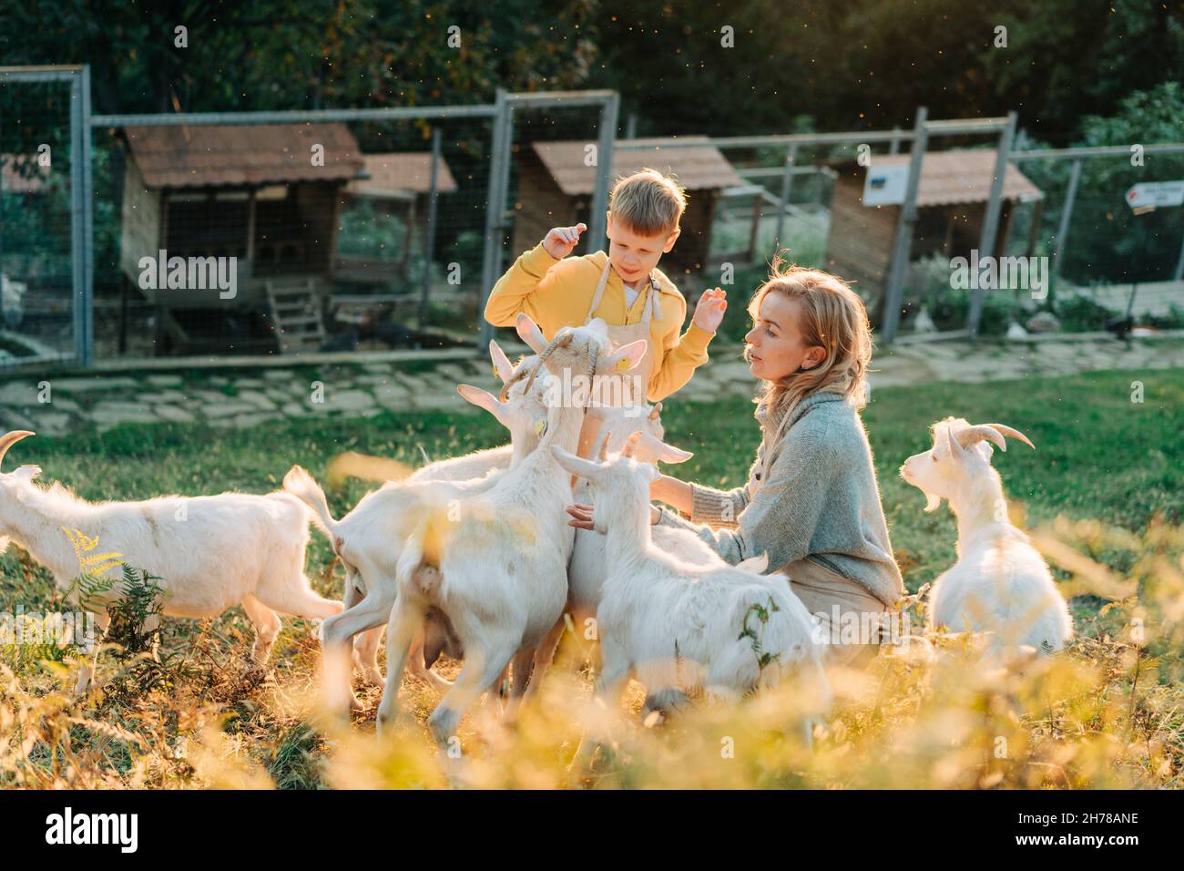 Felice mamma e figlio allegro nutrire e prendersi cura delle capre in fattoria. Foto Stock