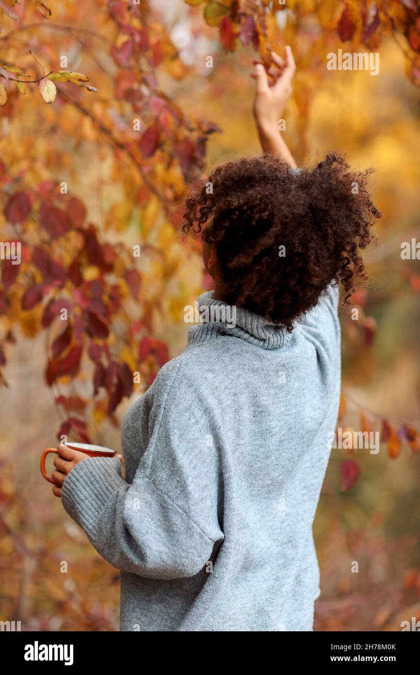 Vista posteriore della giovane donna in caldo maglione con capelli ricci che toccano la foglia sull'albero in autunno giardino o foresta, godendo tempo libero in autunno natura Foto Stock