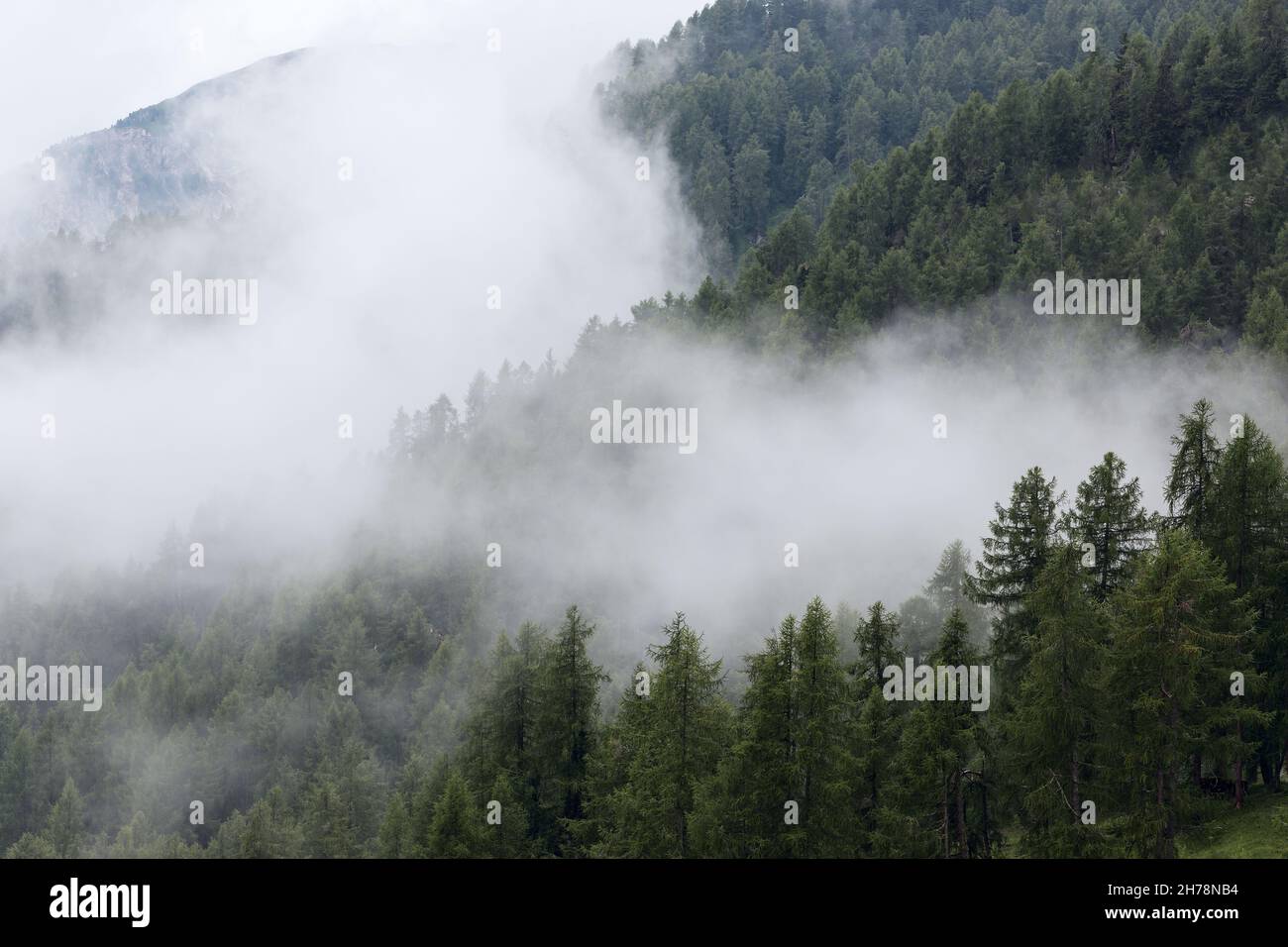 Le colline delle Dolomiti ricoperte di fitta nebbia Foto Stock
