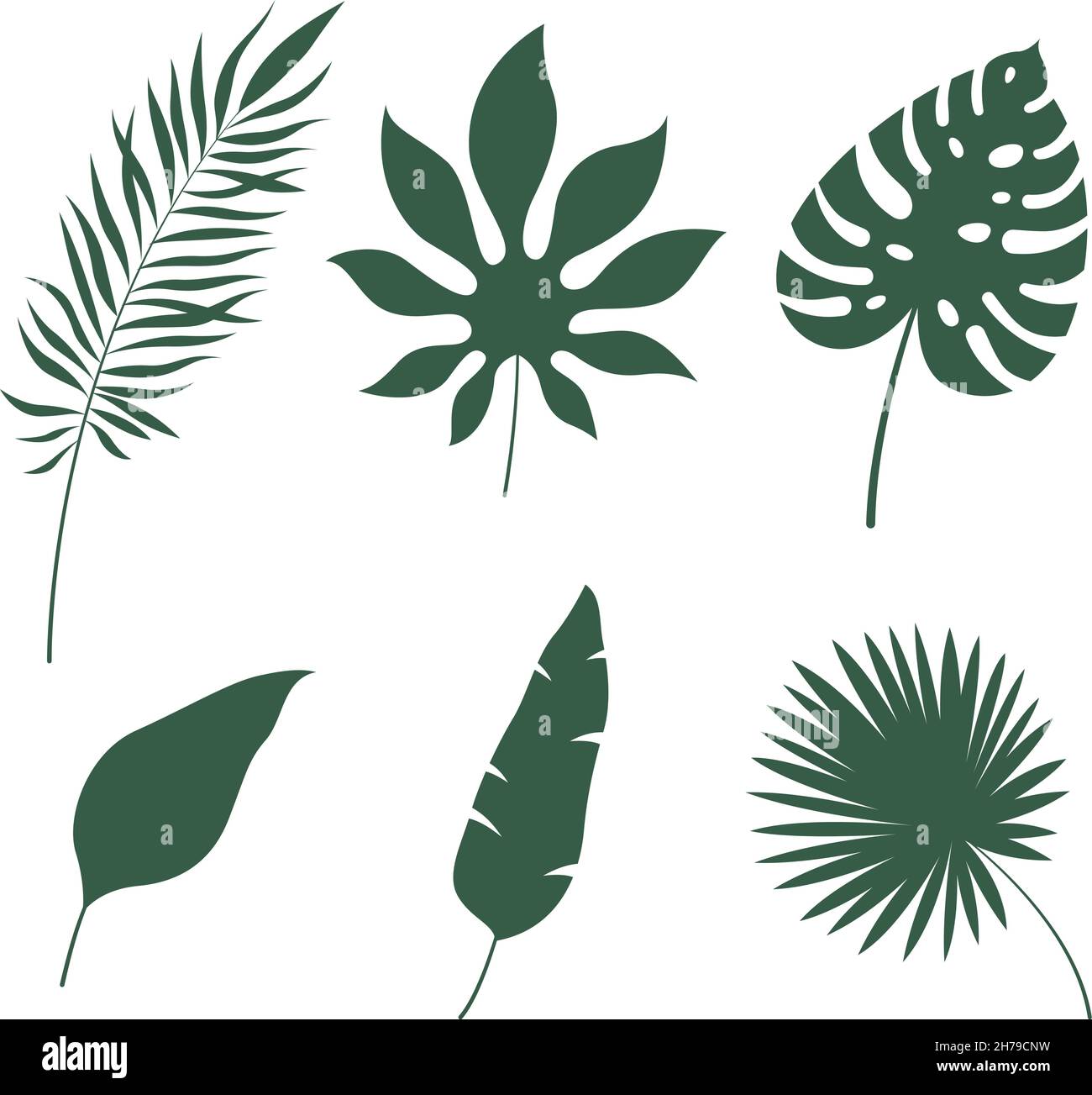 Lascia sagome tropicali. Verde giungla esotica foglia palma, monstera e banana. Decorazioni botaniche, oggetti di design natura estiva, subtropicale foresta pluviale Illustrazione Vettoriale