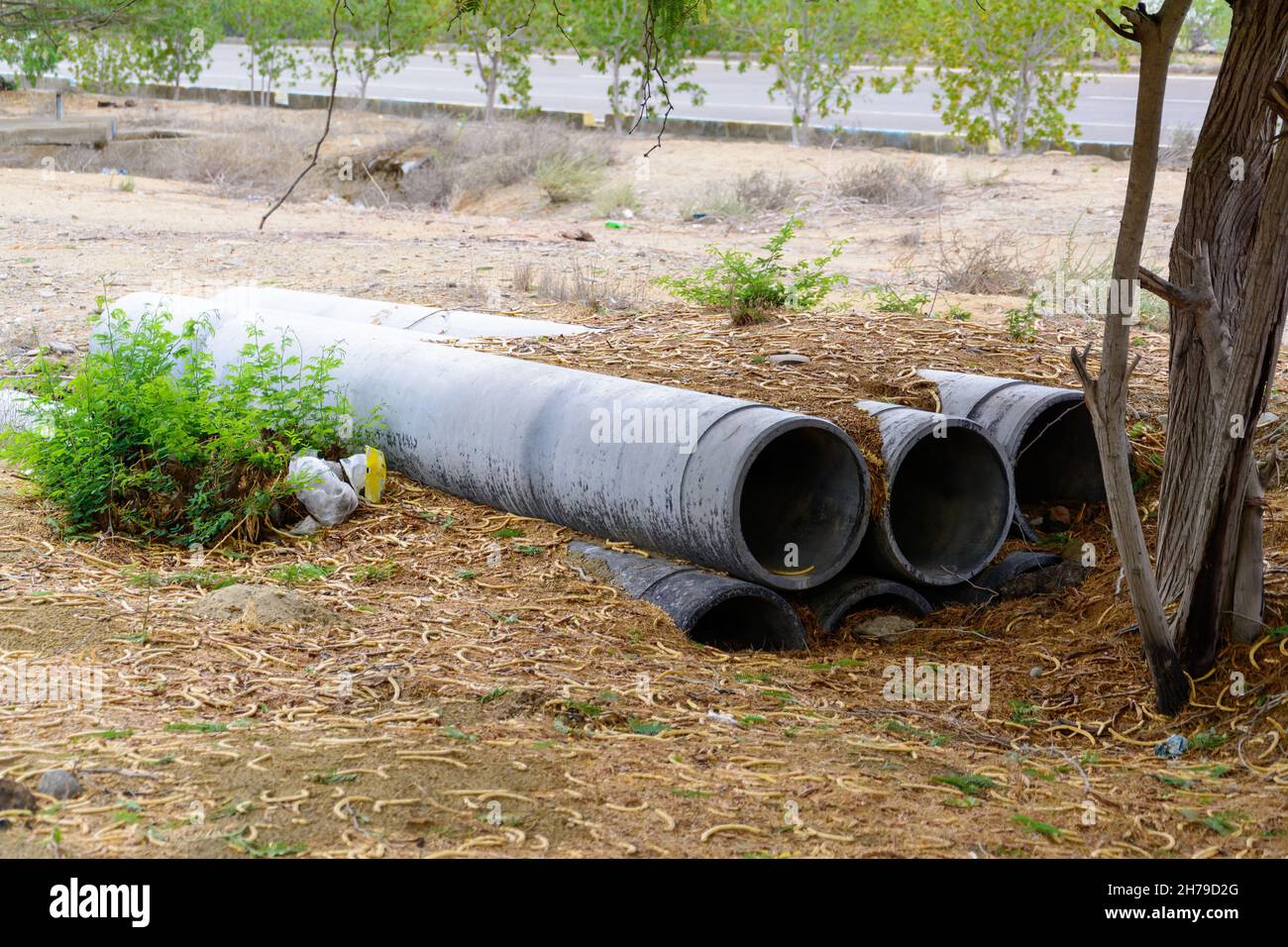 un mucchio di grandi tubi non utilizzati abbandonati in una foresta nella provincia di chabahar, iran Foto Stock