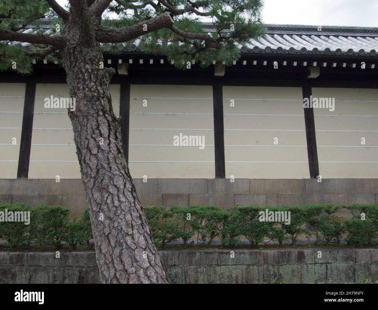 (東本願寺), o, il monastero orientale del voto originale, è una delle due sottosezioni dominanti del Buddhismo Shin in Giappone. Foto Stock