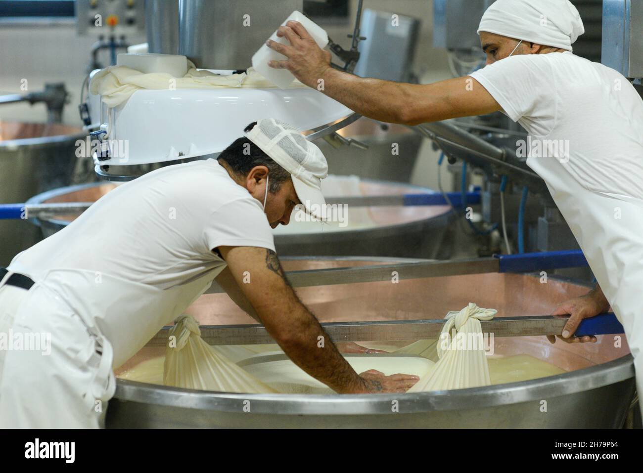 Parma 2064 Parmigiano Reggiano produzione caseificio cottura del latte e produzione di parmigiano biologico certificato Foto Stock