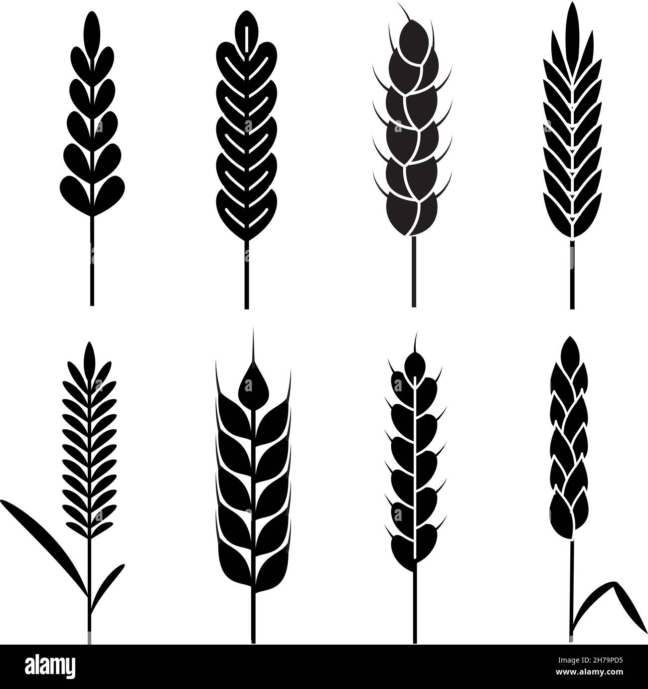 Icone delle orecchie di grano. Agricoltura biologica raccolta di cereali. Silhouette nere di segale, simbolo del pane o della birra, logo da forno, prodotti ecologici naturali l Illustrazione Vettoriale