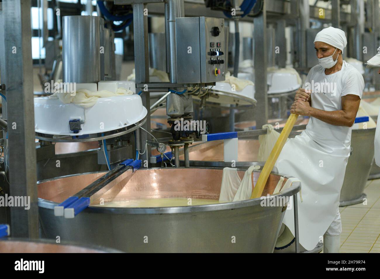 Parma 2064 Parmigiano Reggiano produzione caseificio cottura del latte e produzione di parmigiano biologico certificato Foto Stock