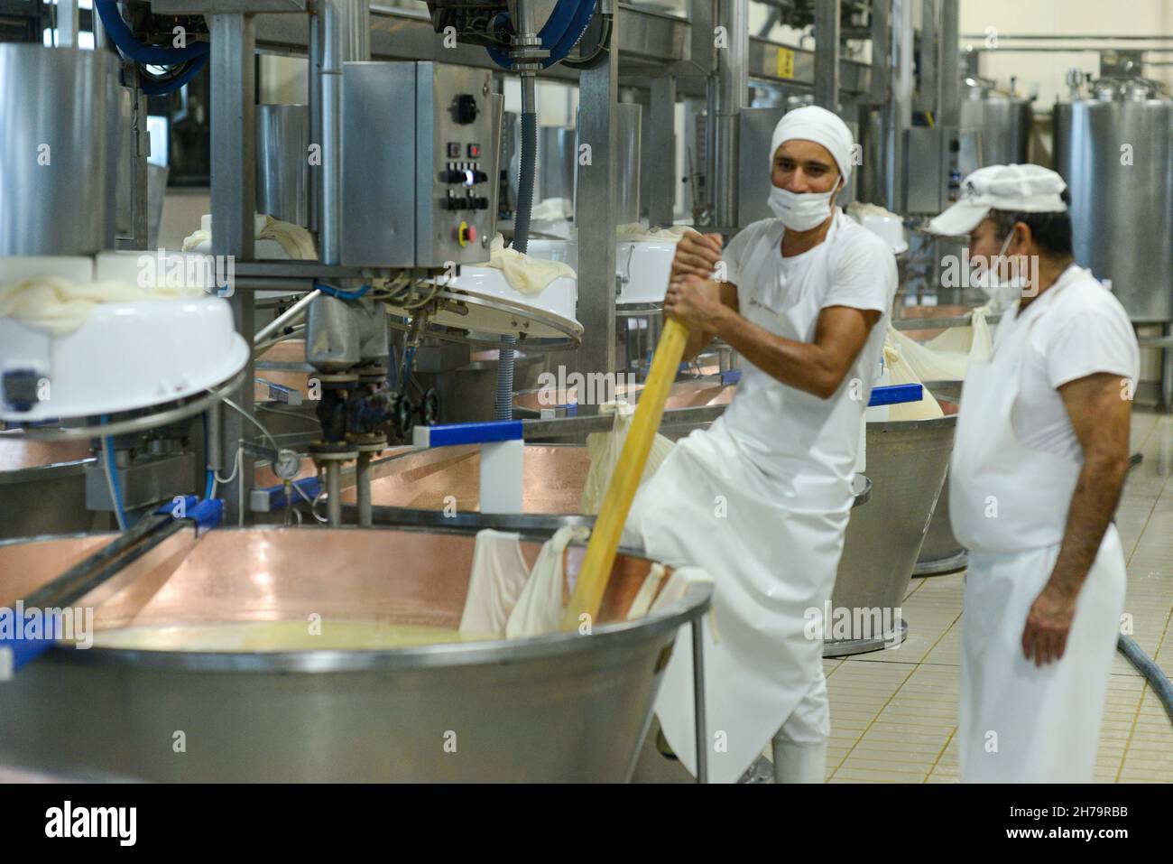 Parma 2064 Parmigiano Reggiano produzione caseificio cottura del latte e produzione di parmigiano biologico certificato Foto Stock