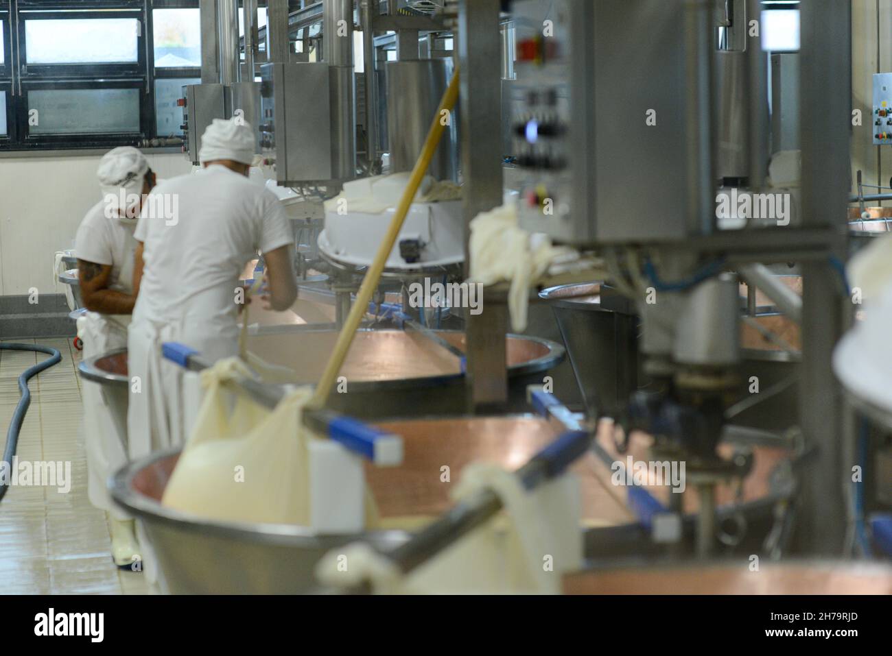 Parma 2064 Parmigiano Reggiano produzione caseificio cottura del latte e produzione di parmigiano biologico certificato Foto Stock