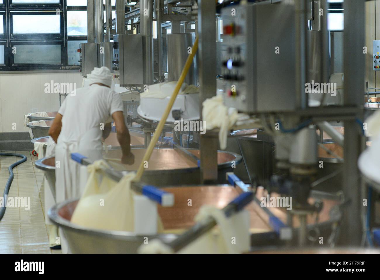 Parma 2064 Parmigiano Reggiano produzione caseificio cottura del latte e produzione di parmigiano biologico certificato Foto Stock