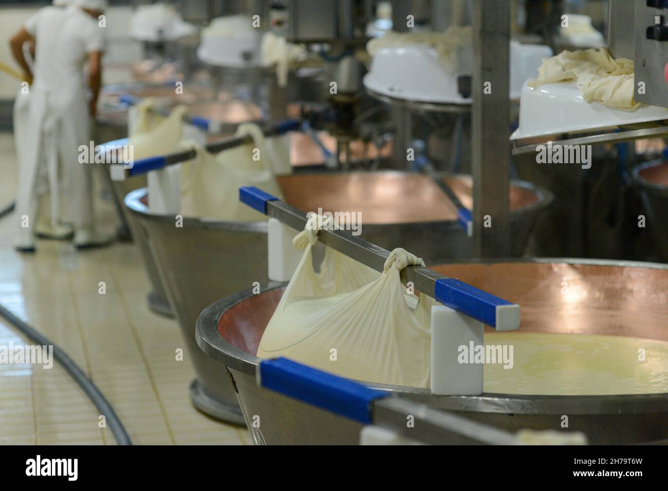 Parma 2064 Parmigiano Reggiano produzione caseificio cottura del latte e produzione di parmigiano biologico certificato Foto Stock